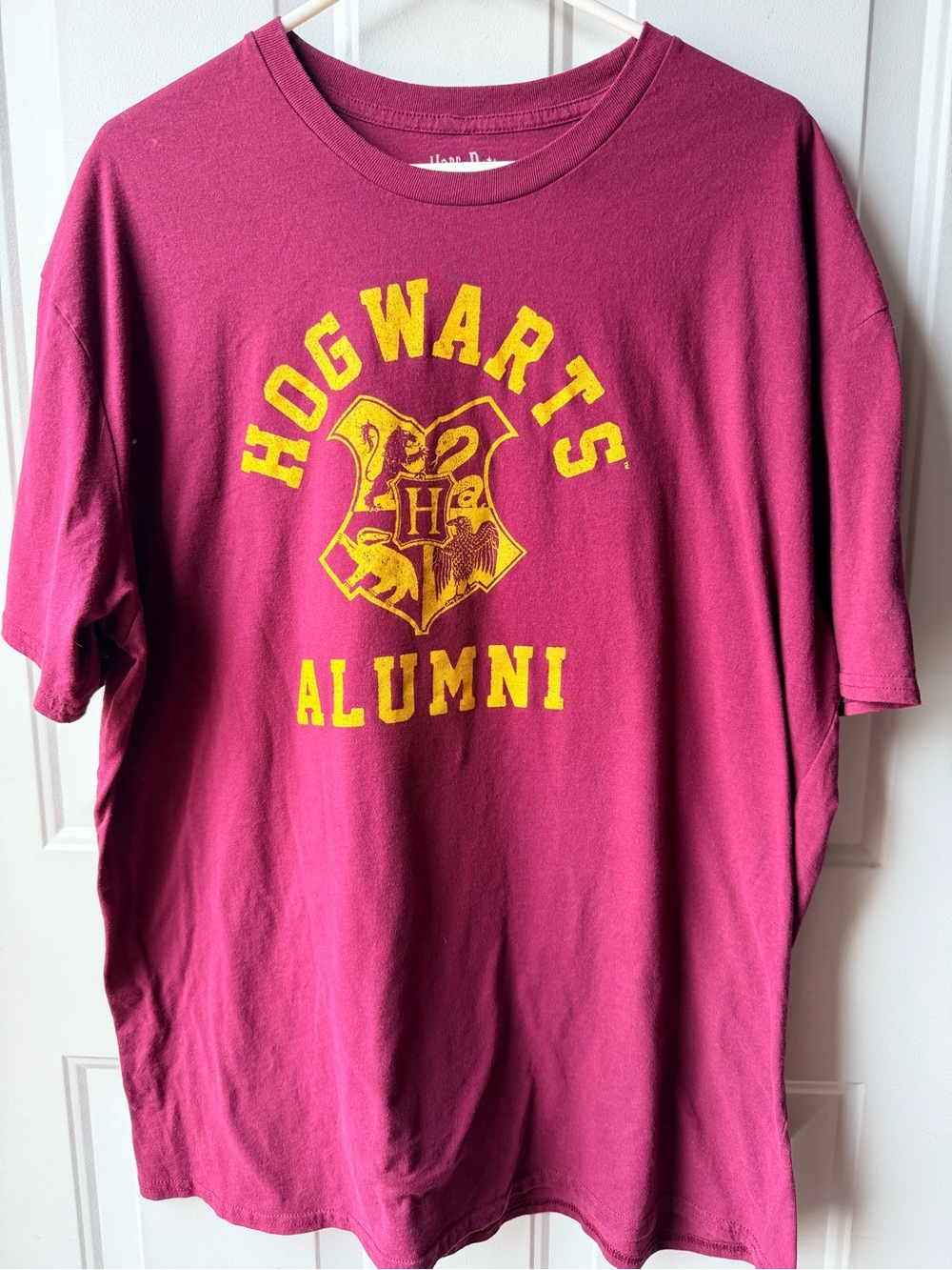 Harry Potter Hogwarts Alumni Graphic Tee Burgundy Gold 2XL